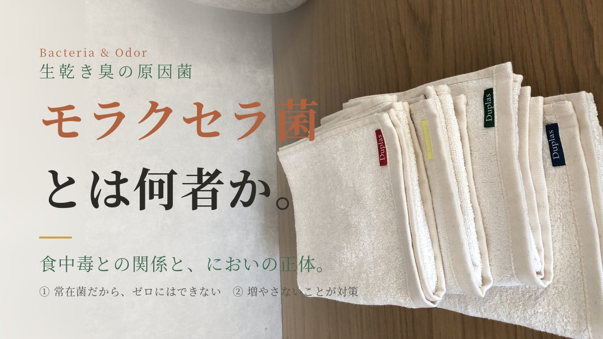 モラクセラ菌とは？生乾き臭の原因菌と食中毒の関係