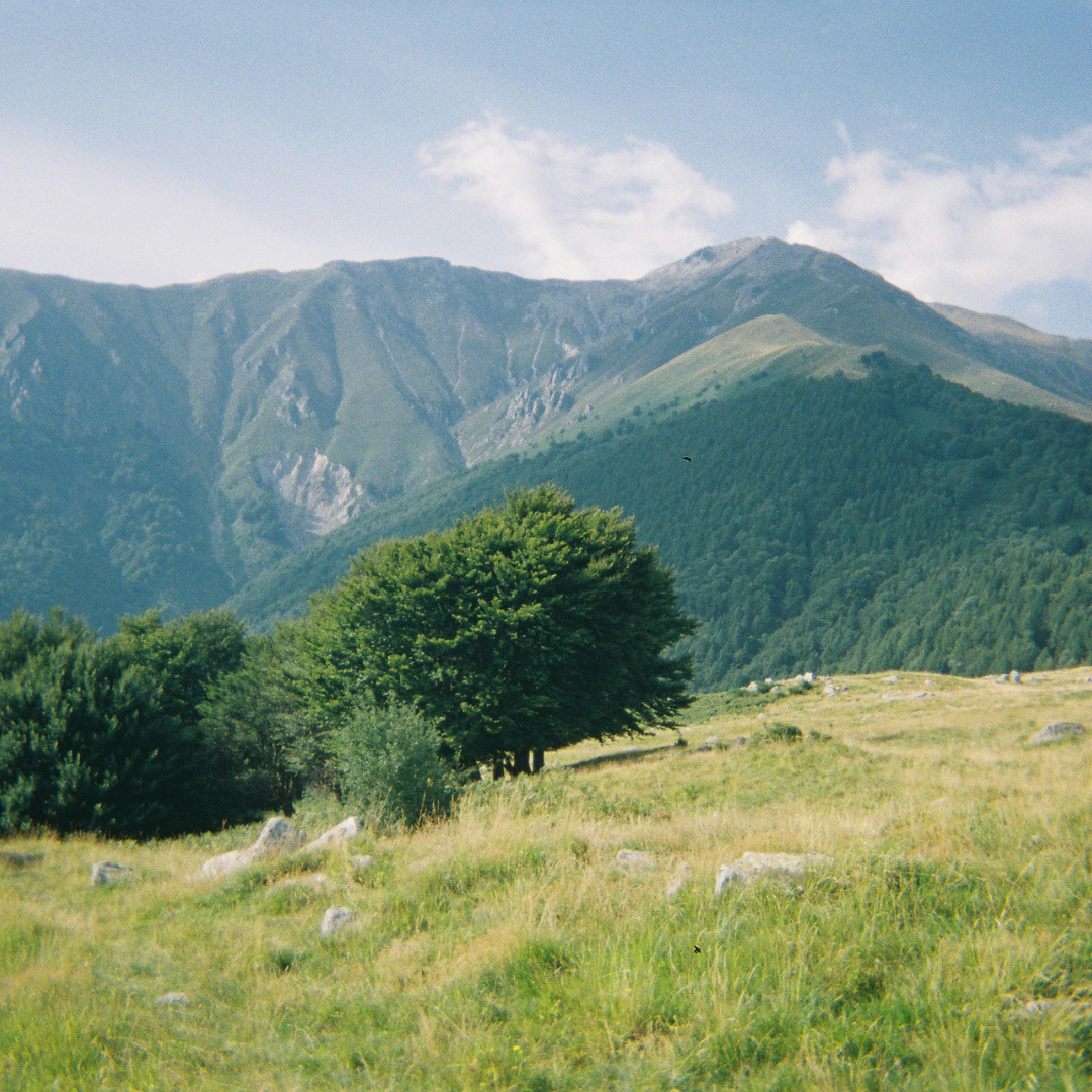 地球への優しさのイメージ写真