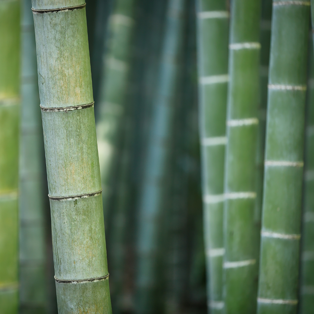 ブランドストーリー画像